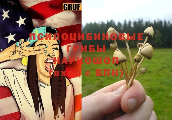 прущая мука Алзамай