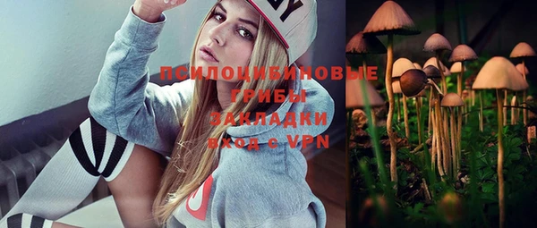 прущая мука Алзамай